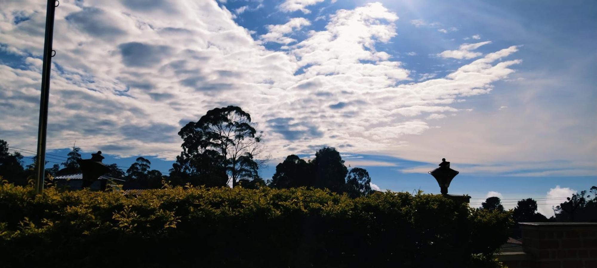 Woods Paradise Kodaikanal Ngoại thất bức ảnh